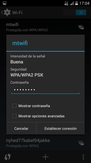 Introduzca la contraseña de Wi-Fi y seleccione Establecer conexión