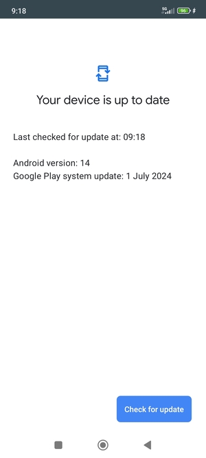 If your phone is up to date, you will see the following screen