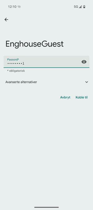 Skriv inn Wi-Fi-passord og velg Koble til