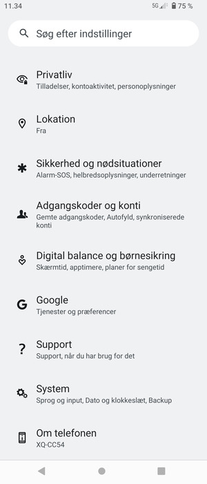 Vend tilbage til menuen Indstillinger og vælg Adgangskoder og konti