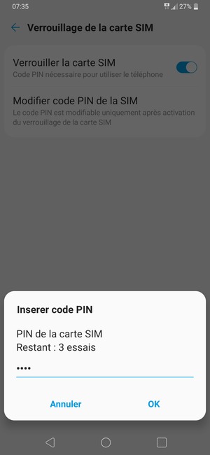 Saisissez votre Ancien PIN de la carte SIM et sélectionnez OK