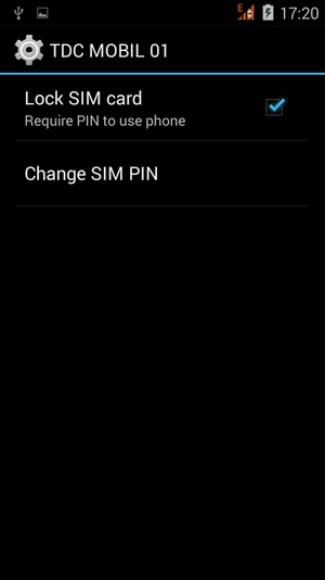 Select Change SIM PIN