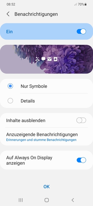 Wählen Sie Ihre bevorzugten Optionen und wählen Sie OK