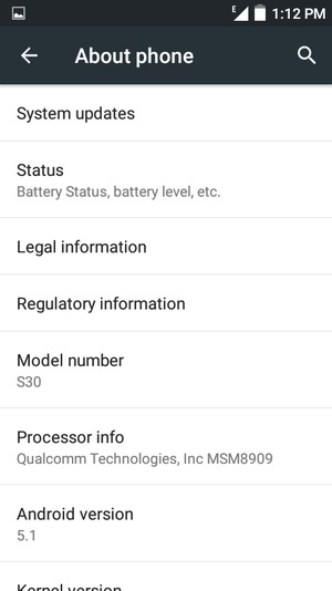 Select System updates