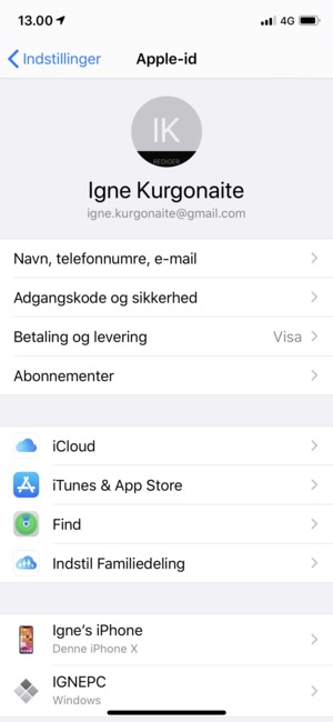 Vælg iCloud