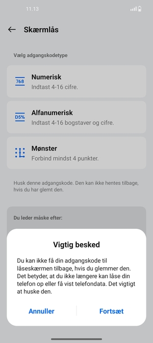 Vælg Fortsæt