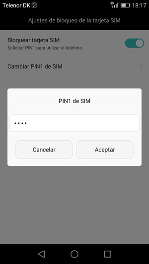 Introduzca su Antiguo PIN de SIM y seleccione Aceptar