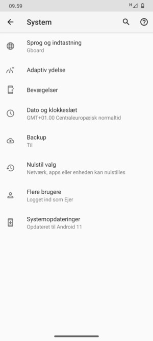 Vælg Systemopdateringer