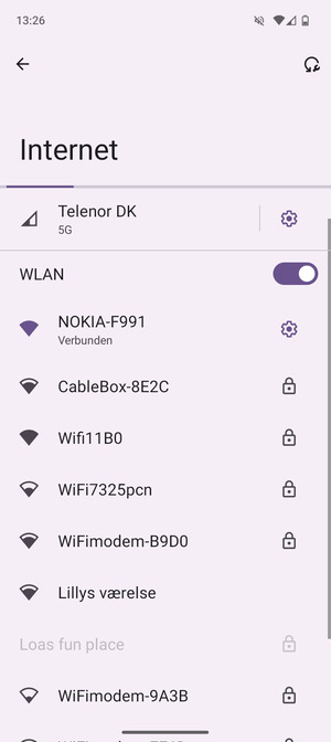 Sie sind nun mit dem WLAN-Netzwerk verbunden