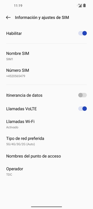 Seleccione Tipo de red preferida