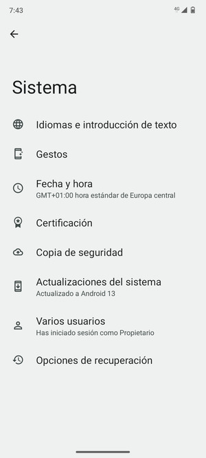 Seleccione Actualización del sistema