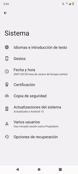 Seleccione Actualizaciones del sistema