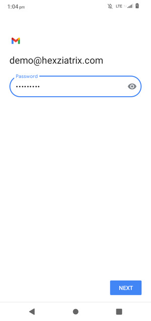Enter your password and select NEXT