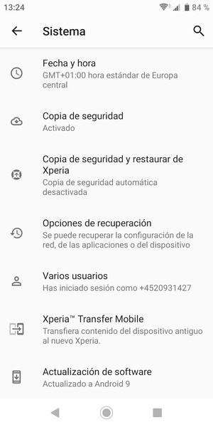 Desplácese y seleccione Actualización de software