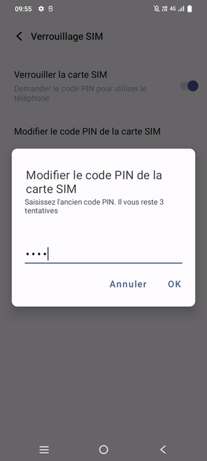 Saisissez votre Ancien code PIN de la carte SIM et sélectionnez OK