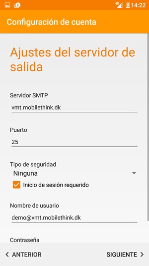 Introduzca la dirección de servidor saliente
