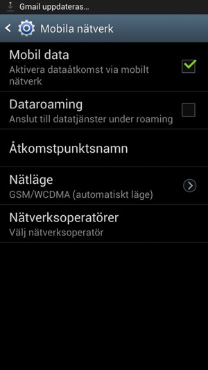Slå på eller stäng av Dataroaming