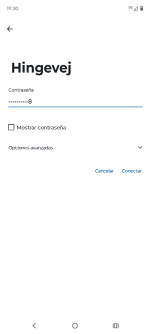 Introduzca la contraseña de Wi-Fi y seleccione Conectar