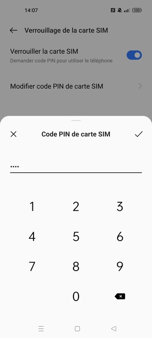Saisissez Code PIN actuel de carte SIM et sélectionnez OK