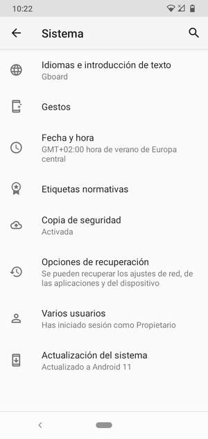 Seleccione Actualización del sistema