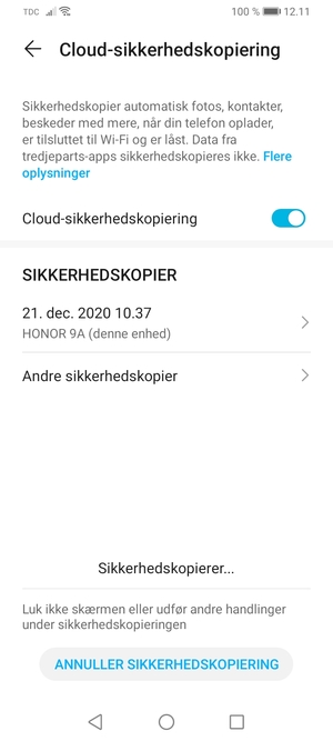 Afvent at sikkerhedskopieringen er afsluttet