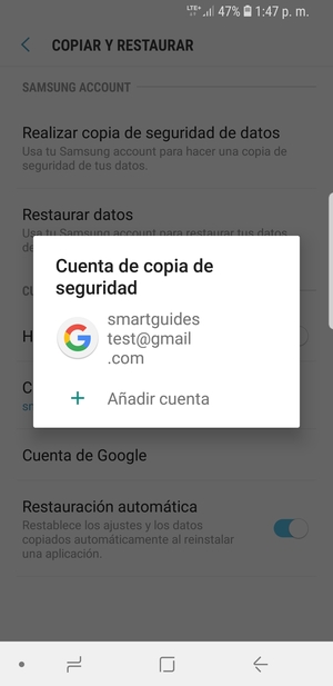 Seleccione su cuenta de copia de seguridad