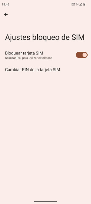 Seleccione  Cambiar PIN de la tarjeta SIM