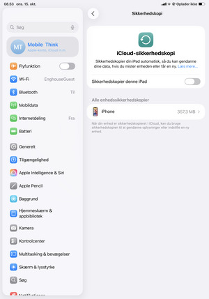 Aktiver Sikkerhedskopier denne iPad