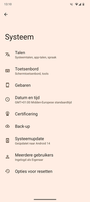 Selecteer Systeemupdate