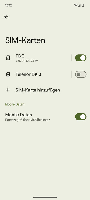 Schalten Sie Public ein