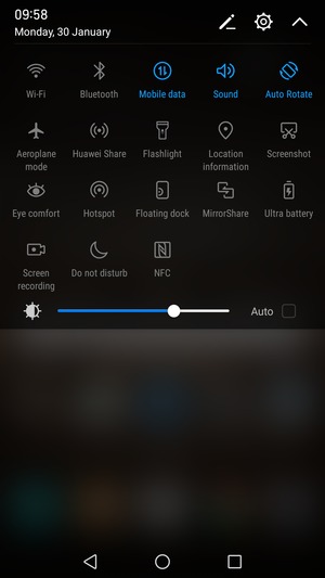 Check the Auto checkbox
