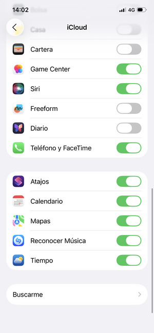 Seleccione los servicios de los que desea hacer copia de seguridad