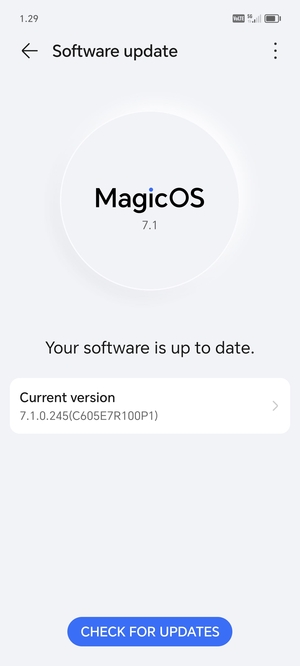 If your phone is up to date, you will see the following screen