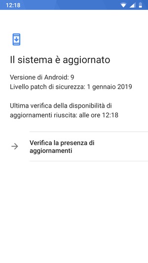 Se il tuo telefono è aggiornato, vedrai la seguente schermata