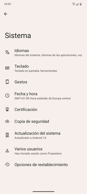 Seleccione Actualización del sistema