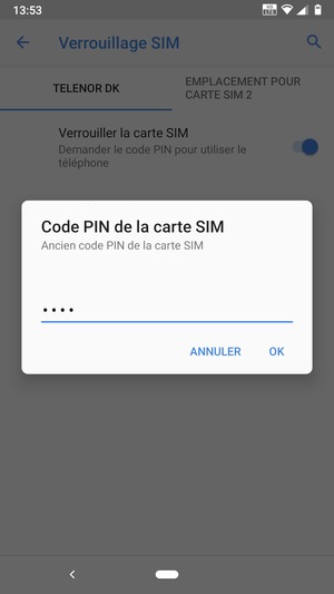 Saisissez votre Ancien code PIN de la carte SIM et sélectionnez OK