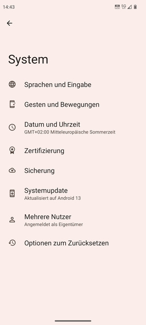 Wählen Sie Systemupdate