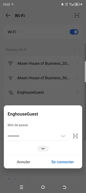 Saisissez le mot de passe du Wi-Fi et sélectionnez Se connecter