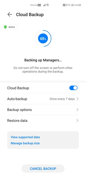 Wait for the backup to finish
