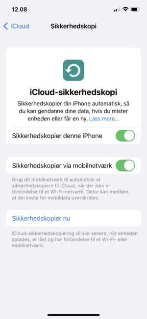 Vælg Sikkerhedskopier nu