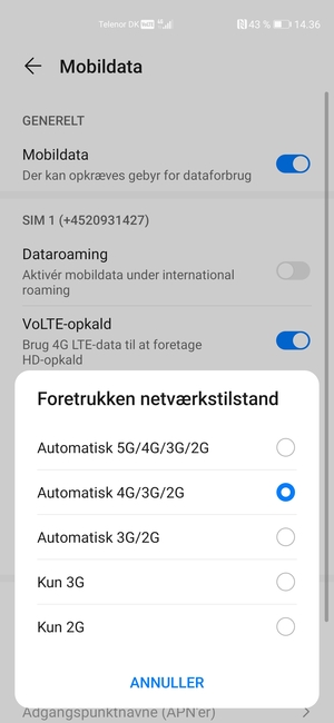 Vælg din foretrukne mulighed