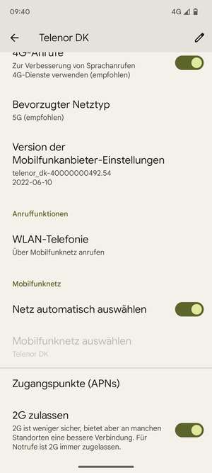 Scrollen Sie und wählen Sie Bevorzugter Netztyp