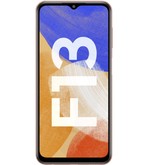 Samsung Galaxy F13