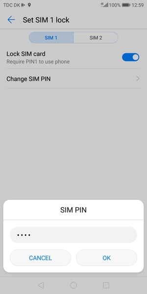 Enter your Old SIM PIN and select OK