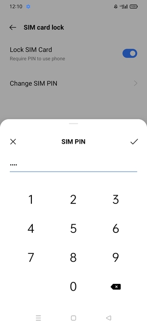 Enter your Old SIM PIN and select OK