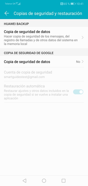 Seleccione Copia de seguridad de datos