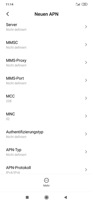 Scrollen Sie nach unten und geben Sie Internetinformationen ein
