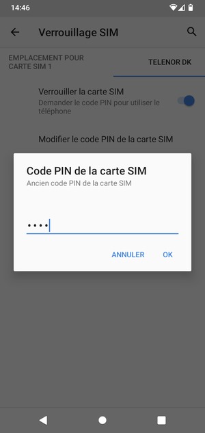 Saisissez votre Ancien code PIN de la carte SIM et sélectionnez OK
