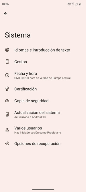Seleccione Actualización del sistema