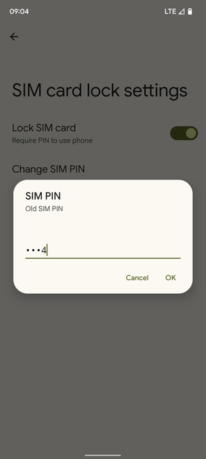Enter your Old SIM PIN and select OK